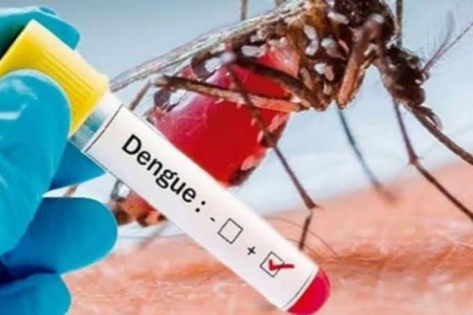 Dengue fever is spreading in the state; 877 people have been diagnosed with the disease image