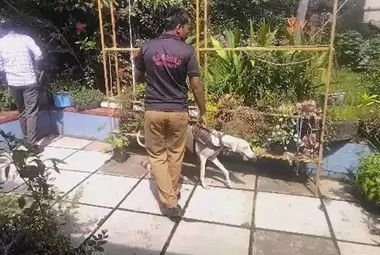 A bomb was fired at the house in Kuttyadi Vanimel image