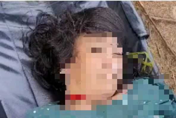 Nepalese woman drowned in Bharatapuzha image