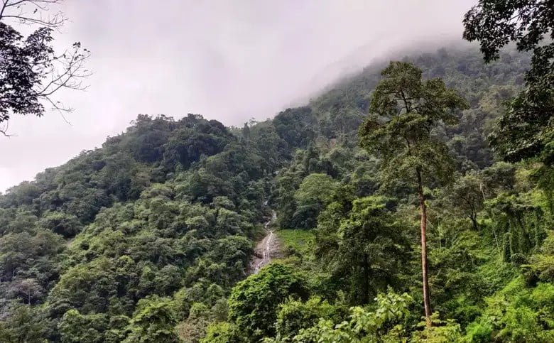 Land For Sale In Kakkayam0