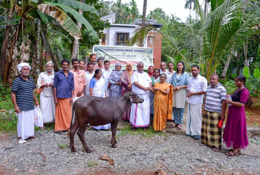 Omassery distributed cattle children to the women of 140 families. image