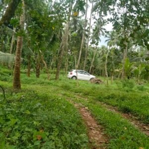 Plot in kuppayakode