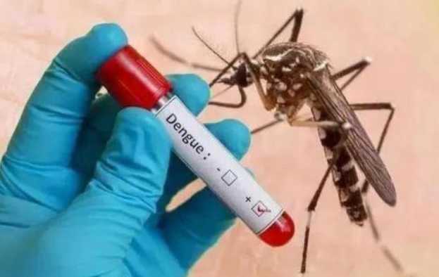 dengue image