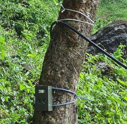 Forest department officials have installed a surveillance camera at Kodanchery and Jirakappara image