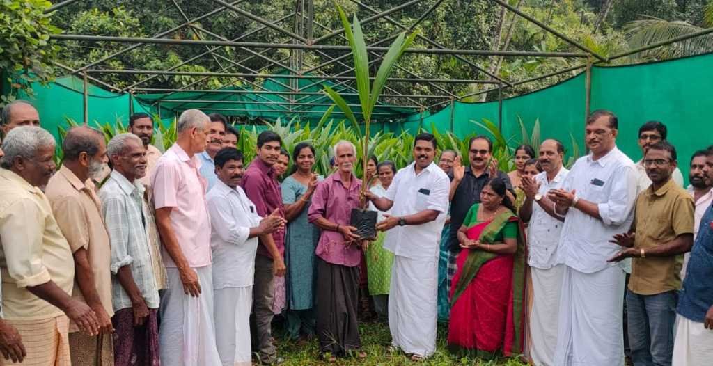 Kodanchery distributed banana tree saplings on Kerala birth day image