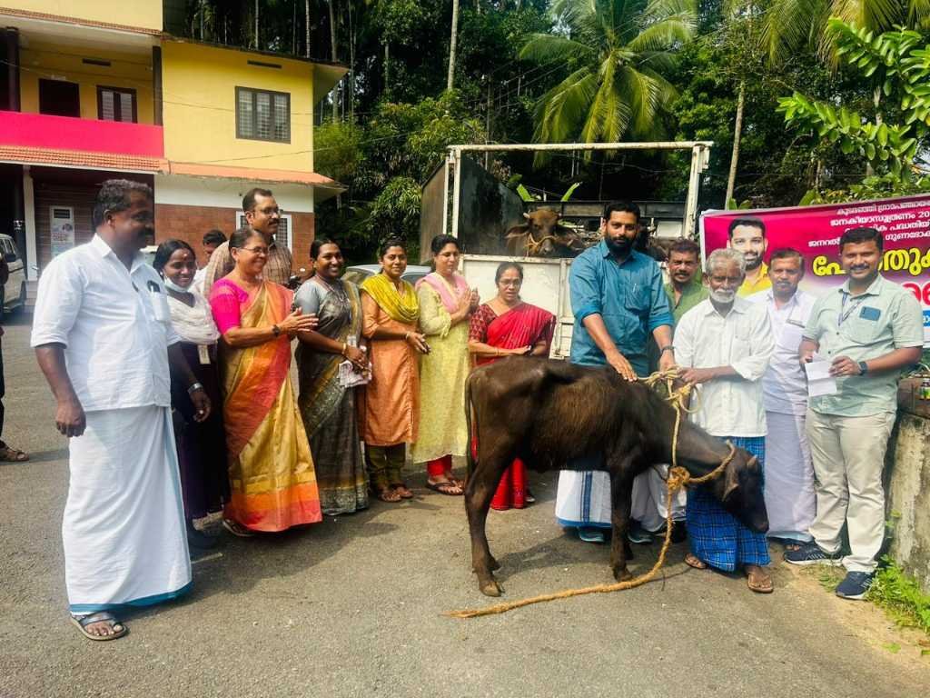 Koodaranji, Pothin Kutti distributed image