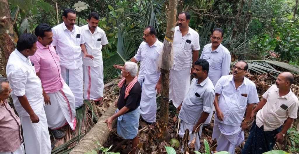 Thiruvambady, wild animals that enter the agricultural land should be shot. Farmers Congress image