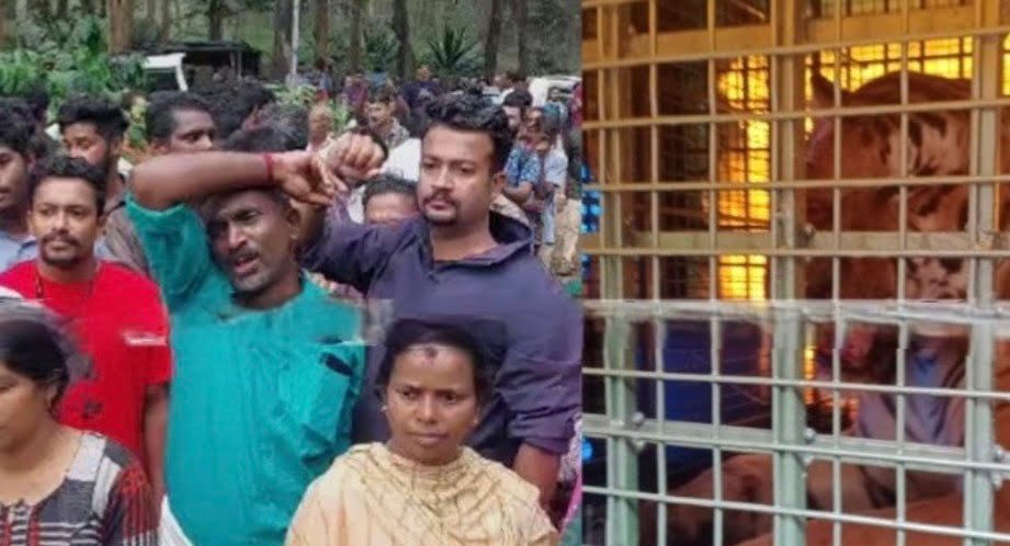 Wayanad will not leave the tiger unkilled, local protest in Koodallur is strong image