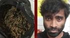 Wayanad, youth arrested with ganja imagee