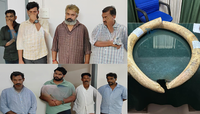 kattana image_cleanup