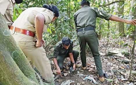 not-a-leoperd-but-a-tiger-tyamarassery-pass-region-worried-over-confirmed-tiger-presence image