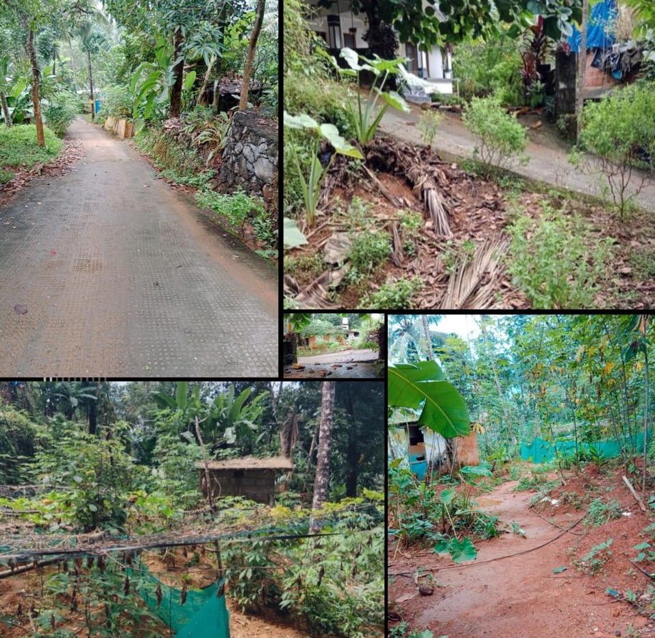 Land For Sale In Kattippara1