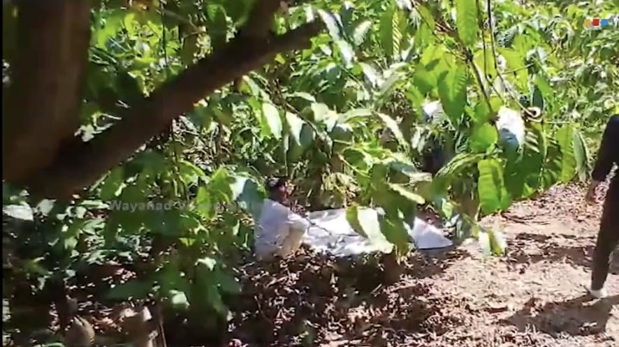 Mananthavady, one killed in wild cat attack image