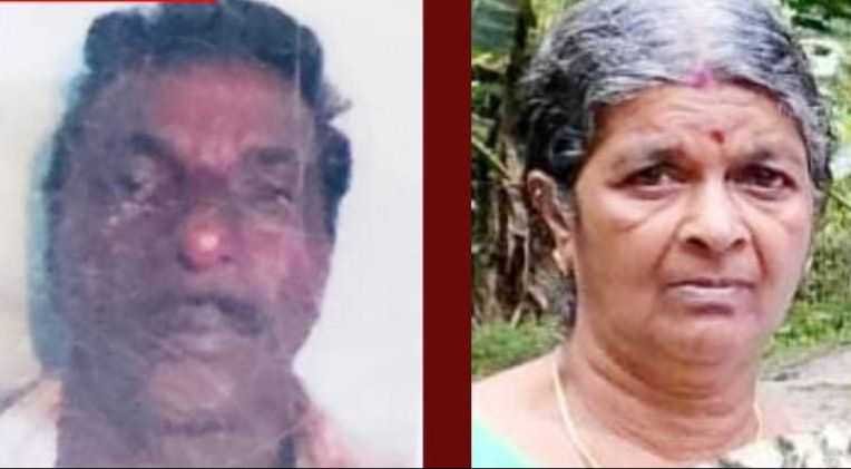 Wayanad, the couple died of shock image