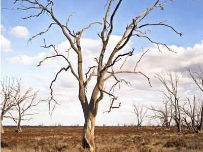 Its getting hot again Warning in eight districts