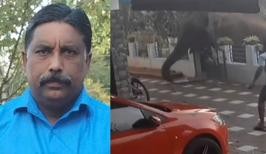 Mananthavady, Rs 10 lakh for Aji's family, job for one, agreed in all-party meetingv image