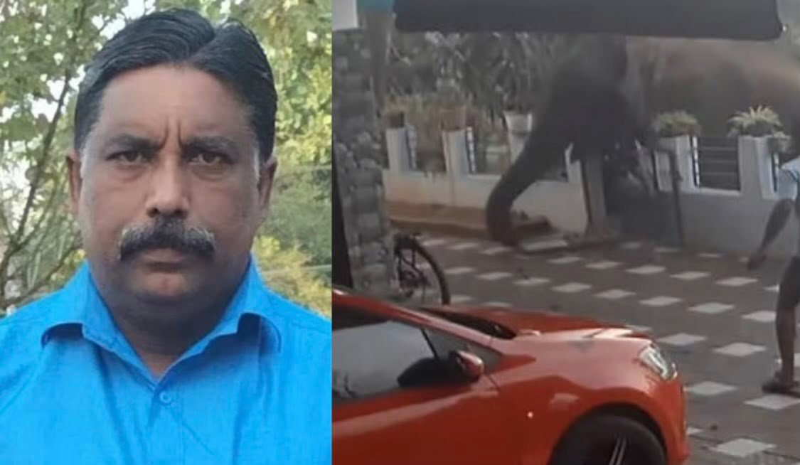 Mananthavady, Rs 10 lakh for Aji's family, job for one, agreed in all-party meetingv image