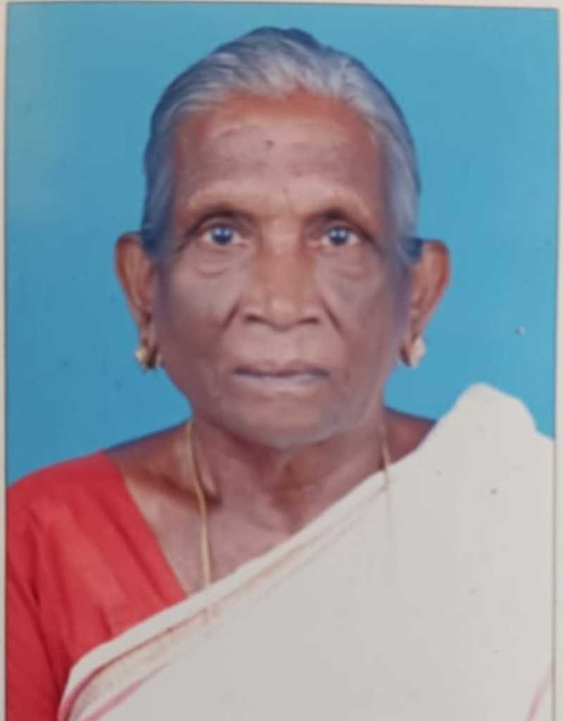 Mukkam, Kumaranellur Kannai Niryat at the paddy field image