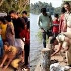 The skull and bones were found on the banks of the Palayad river in Vadakara image