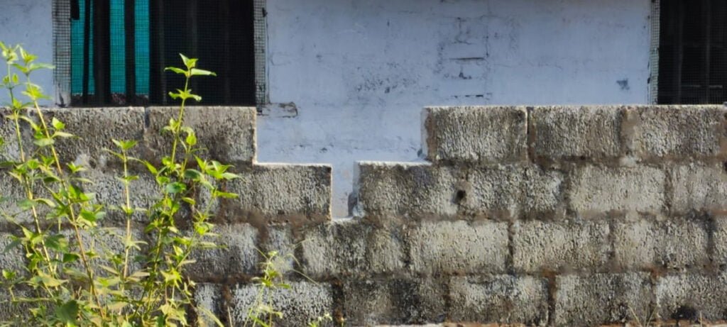 Thamarassery, പള്ളിപ്പുറം A L P സ്കൂളിൽ സാമൂഹ്യ വിരുദ്ധരുടെ അഴിഞ്ഞാട്ടം. 8 Anti socials rampage in Pallipuram ALP School