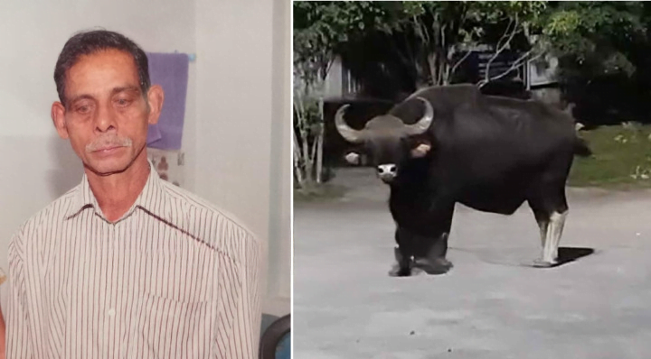 LDF, UDF hartal tomorrow in Koorachund panchayat_cleanup