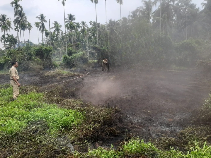 Nanminda, വയലിൽ തീ പിടുത്തം 6 A fire broke out in a field in Nanmanda cleanup