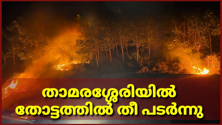 Thamarassery, തോട്ടത്തിൽ തീ പിടുത്തം 8 A fire broke out in an orchard in Thamarassery cleanup