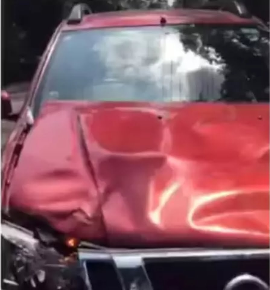 ഓടിക്കൊണ്ടിരിക്കുന്ന കാറിന് നേരെ കാട്ടുപോത്തിന്റെ ആക്രമണം; കാര് യാത്രക്കാര് അത്ഭുതകരമായി രക്ഷപ്പെട്ടു 3 Bison attack on running car The car occupants had a miraculous escape