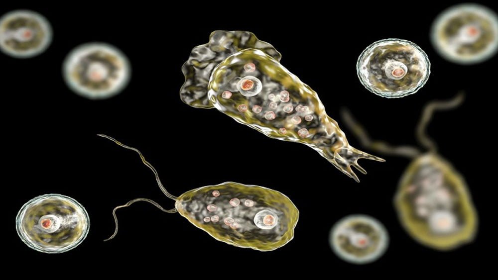 Malappuram, a five-year-old girl who was being treated for amoebic encephalitis died