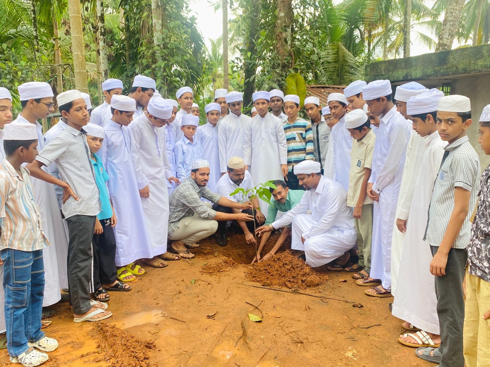 Narikkuni organized the Environment Day celebration.