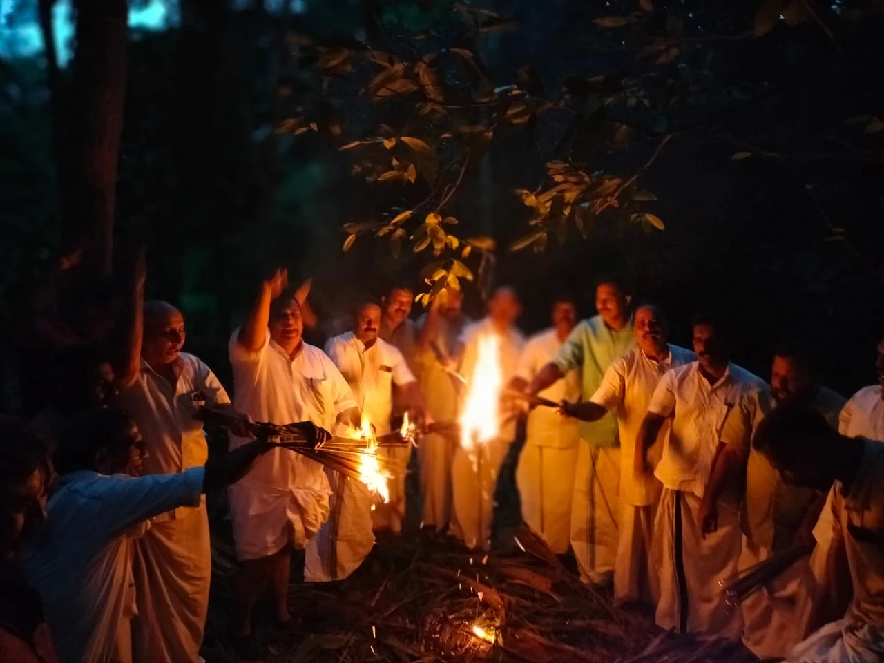 In Kodenchery, wild herds often destroy crops; Farmers Congress to protest.