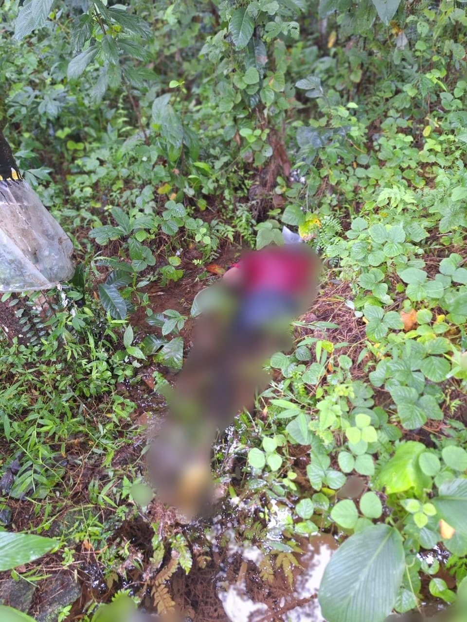 Thiruvambady, the youth was found dead in a rubber plantation.