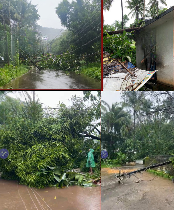 കനത്ത കാറ്റിലും മഴയിലും Thamarassery,മേഖലയിൽ വ്യാപക നാശനഷ്ടം 3 Widespread damage in Thamarassery region due to heavy wind and rain cleanup