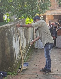 Koodathayi മൂർഖൻ പാമ്പിനെ പിടികൂടി 10 koodathayi-catches-the-cobra