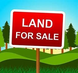land for sale 1