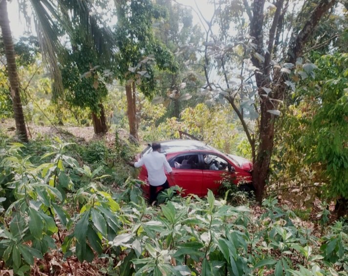 passengers-injured-as-car-plunges-into-gorge-on-kumbara-kakkadampoyil-road