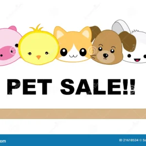 pet sale