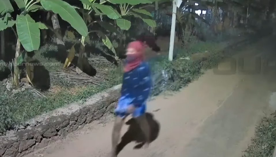 Thamarassery യിൽ ഒൻപത് വീടുകളിൽ മോഷണം നടത്തിയ പ്രതിയെ പിടിയിൽ 2 suspect-arrested-for-burglarizing-nine-houses-in-thamarassery