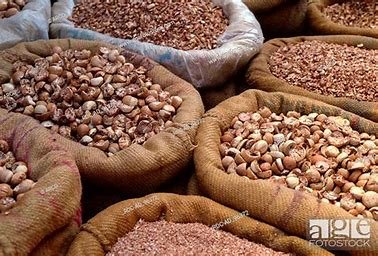 Korangad അടക്ക മോഷണം പോയി 8 korangad-areca-nut-stolen