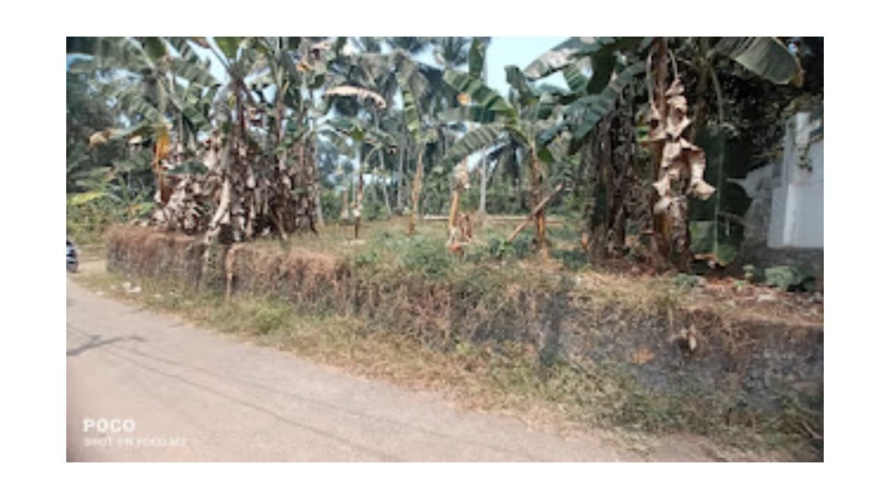 land-for-sale-in-thamarassery-karadi 1