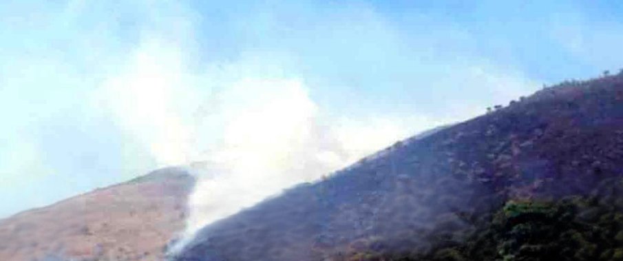 Mananthavady കമ്പമലയില് വീണ്ടും കാട്ടുതീ 10 mananthavady-wildfire-breaks-out-again-at-kampamala