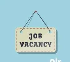 Job Opportunity for Ladies – Work Online 2