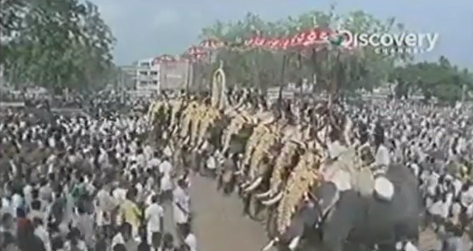 30 വർഷം മുമ്പുള്ള തൃശ്ശൂർപൂരം എങ്ങനെയായിരിക്കും.1990 കളിൽ റെക്കോർഡ് ചെയ്ത വീഡിയോ 8 Screenshot 2025 03 25 181809