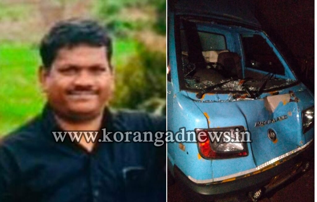 engapuzha-man-injured-in-road-accident-passes-away