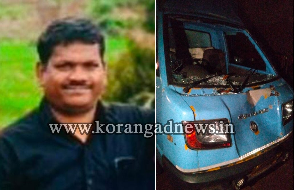 engapuzha-man-injured-in-road-accident-passes-away