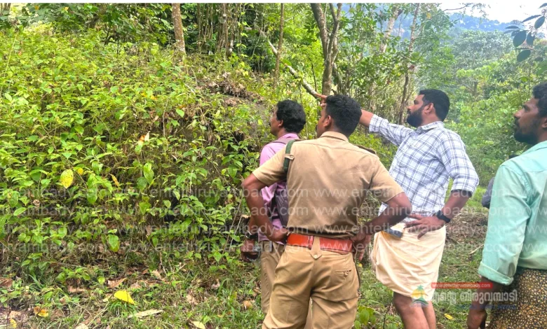 Koodaranji പൂവാറംതോട് കാട്ടാനക്കൂട്ടമിറങ്ങി; അധികൃതർ സന്ദർശിച്ചു 7 koodaranji-a-herd-of-wild-elephants-descended-on-poovaramthodu-officials-visited-the-site