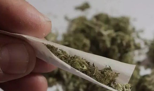 vadakara-couple-arrested-with-cannabis