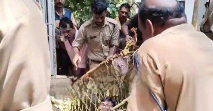 കിണറിൽ കുടുങ്ങിയ Vallikkad സ്വദേശിക്ക് രക്ഷകരായി ഫയർഫോഴ്സ് 2 fireforce-rescues-vallikkad-native-trapped-in-well