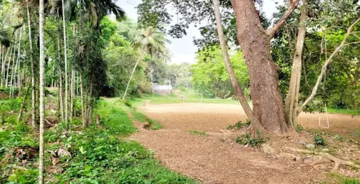 Kunnamangalam പടനിലത്ത് ഒരു കോടി പതിനഞ്ച് ലക്ഷം രൂപയിൽ ആധുനിക രീതിയിൽ കളിസ്ഥലം ഒരുങ്ങുന്നു 3 kunnamangalam a modern playground is being built in padanilam at a cost of ₹1 15 crore