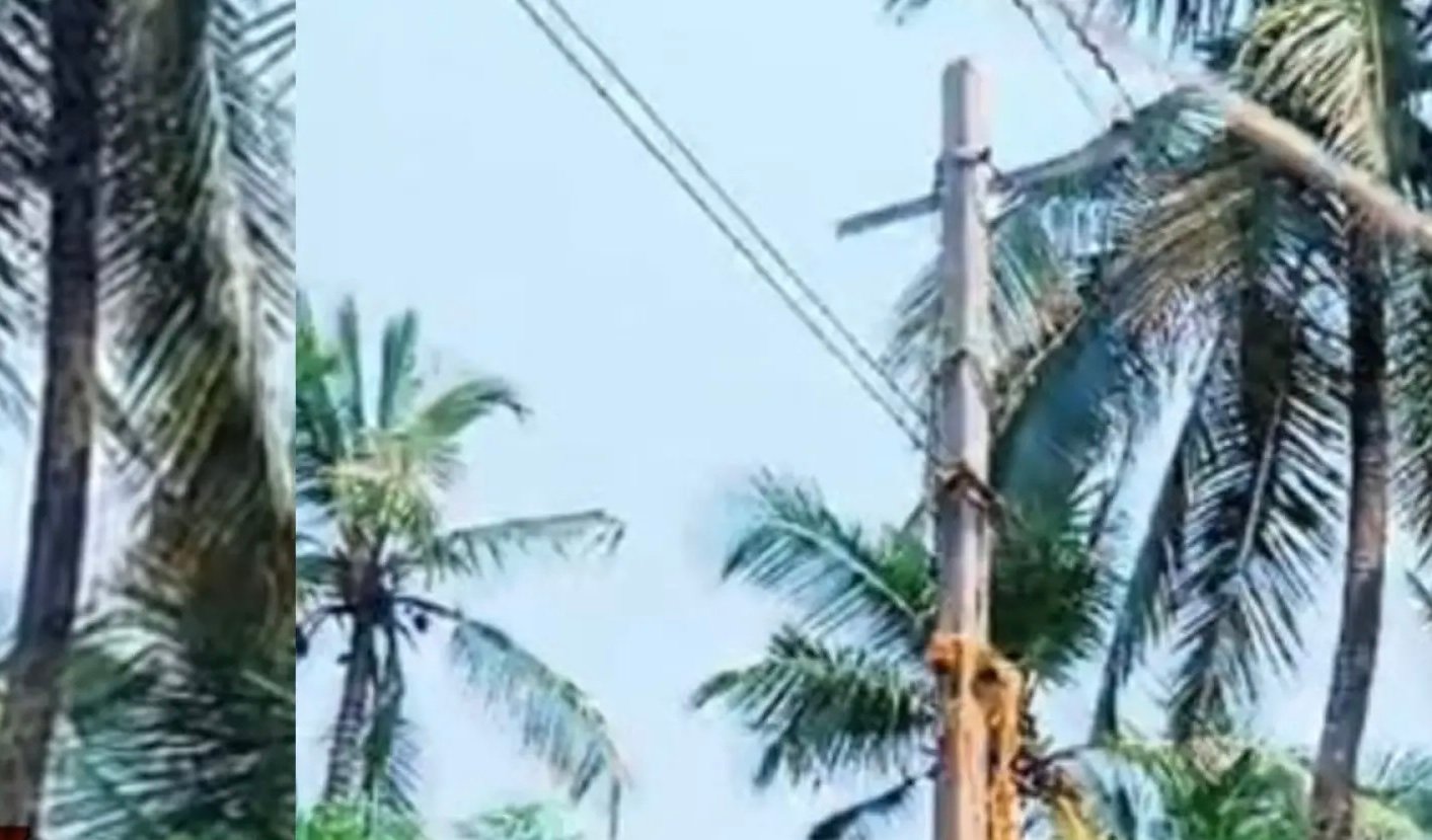 payyoli-contract-worker-electrocuted-to-death-during-maintenance-work-on-electric-line